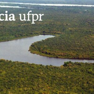 Se superar desmatamento, Floresta Amazônica pode ganhar 15 mil hectares até 2050