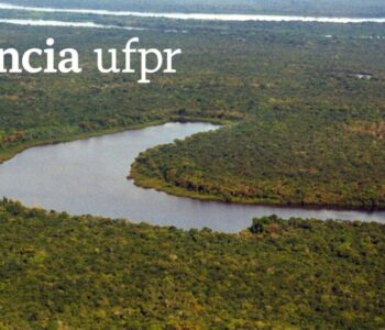 Se superar desmatamento, Floresta Amazônica pode ganhar 15 mil hectares até 2050