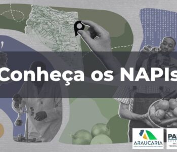 Fundação Araucária lança novo espaço digital de comunicação entre a sociedade e os NAPIs