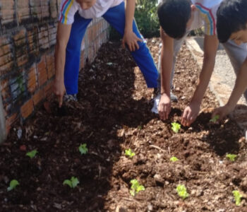 Alunos clubistas realizam a plantação de mudas na horta da escola (Arquivo pessoal)