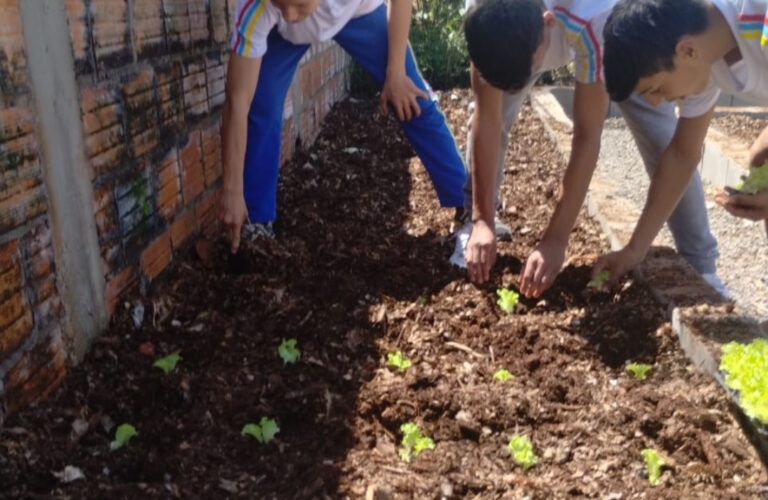 Alunos clubistas realizam a plantação de mudas na horta da escola (Arquivo pessoal)