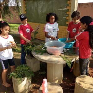 As cenouras colhidas na horta cuidada pelos próprios alunos virou refeição (Foto/MargaridaSustentável)