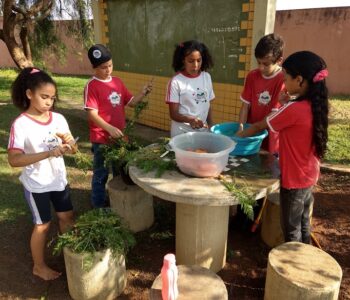 As cenouras colhidas na horta cuidada pelos próprios alunos virou refeição (Foto/MargaridaSustentável)