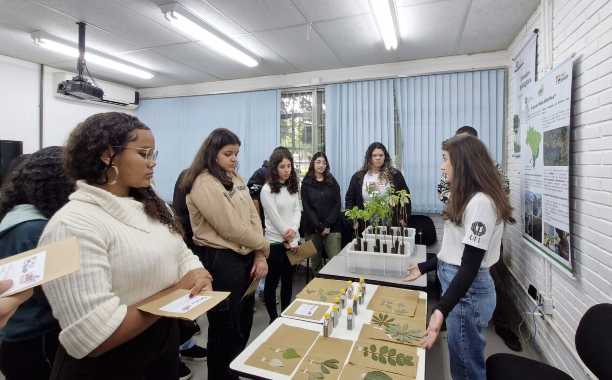 A imagem mostra um grupo de estudantes em uma sala, visitando um estande sobre biologia vegetal. Todos estão de pé, em semicírculo ao redor de uma mesa retangular coberta com materiais didáticos. Na mesa, há várias folhas secas organizadas e coladas em folhas de papel kraft, frascos pequenos com líquidos e alguns materiais informativos. Também há uma caixa plástica contendo mudas de plantas. À direita da imagem, uma mulher jovem com cabelos castanhos, vestindo uma camiseta branca com o logo da UEL (Universidade Estadual de Londrina) e calça jeans, está explicando o conteúdo para os alunos. Ao fundo, há cartazes na parede com informações sobre biodiversidade vegetal no Brasil, mapas e imagens de áreas naturais.