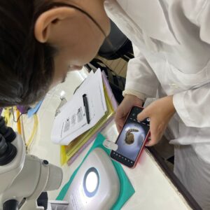 UNILA oferece curso gratuito sobre ciência cidadã e combate à dengue na Tríplice Fronteira