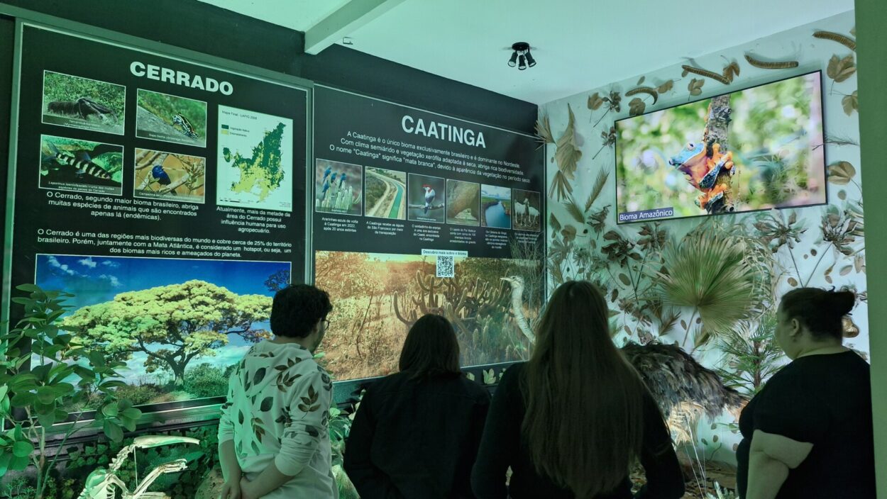 A imagem mostra alguns dos integrantes da equipe do NAPI da Universidade Estadual de Londrina (UEL) ao Museu Dinâmico Interdisciplinar (MUDI) da Universidade Estadual de Maringá (UEM). Quatro pessoas estão de costas, observando um painel expositivo sobre biomas brasileiros. Elas parecem estar atentas às informações e imagens apresentadas. No canto superior direito da imagem, uma televisão exibe um vídeo com uma imagem vibrante de um sapo colorido em um galho. O ambiente está decorado com elementos naturais nas paredes, como folhas secas, galhos e penas. O espaço é iluminado com luz esverdeada.