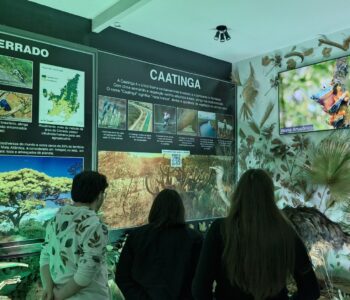 O MUDI participa da Rede de Museus de Ciência do NAPI (Foto/Isabella Abrão)