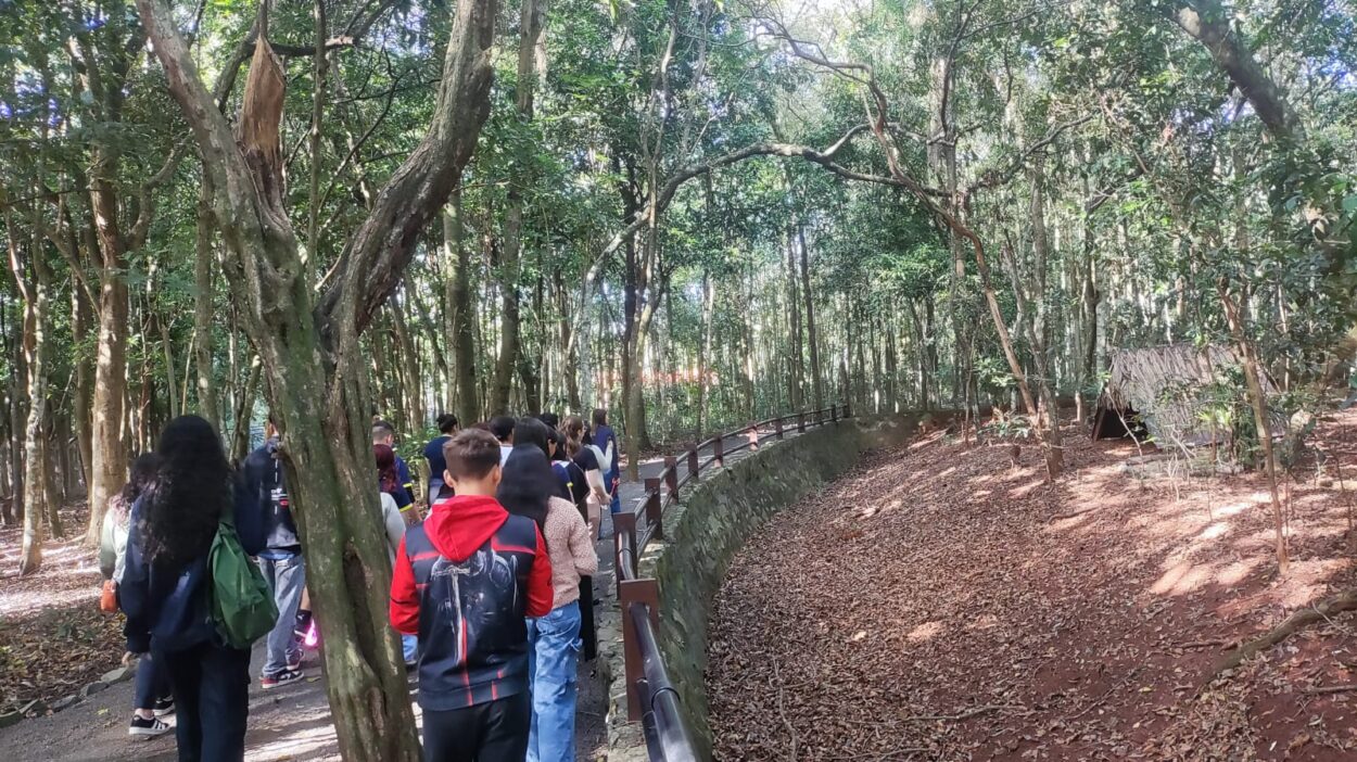 A imagem mostra um grupo de alunos caminhando por uma trilha dentro de uma floresta densa. Eles seguem por um caminho de terra batida, cercado por árvores altas e finas, com copas que filtram a luz do sol, criando uma iluminação suave e sombreada no ambiente. À esquerda da imagem, os estudantes estão andando em fila, muitos com mochilas nas costas.