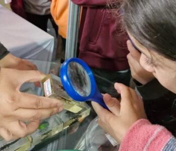 Feira de Cultura Científica inscreve projetos até sexta-feira, dia 29