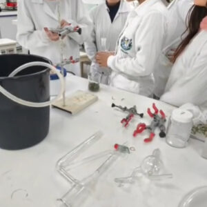 Integrantes do Clube Ciência Divertida observam e registram as etapas do preparo para a extração de óleos essenciais, durante atividade prática no laboratório da UEPG (UEPG) (Foto/Clube Ciência Divertida)