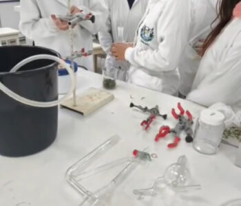 Integrantes do Clube Ciência Divertida observam e registram as etapas do preparo para a extração de óleos essenciais, durante atividade prática no laboratório da UEPG (UEPG) (Foto/Clube Ciência Divertida)