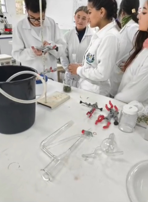 Foto dos estudantes com jalecos brancos observando uma bancada de laboratório com equipamento de extração de óleos essenciais montado. Um frasco com folhas está sendo aquecido em manta térmica; há tubos de vidro conectados e mangueiras conduzindo o vapor até um condensador. Ao fundo, mais alunos acompanham a atividade.