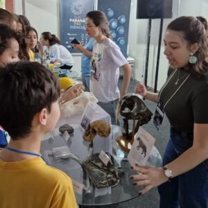 Feira de Curitiba, no ano passado (Imagem/ Arquivo pessoal)