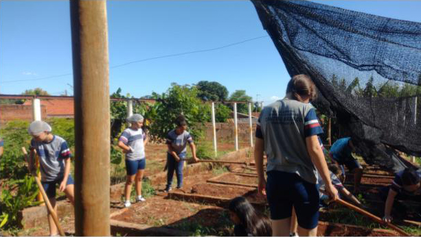 A galeria mostra fotos de estudantes em um canteiro de horta escolar, em um dia ensolarado. Os estudantes usam camisetas do uniforme escolar em tons de cinza com detalhes azul-marinho e vermelho, e alguns deles estão agachados, aparentemente lidando com plantas ou ervas daninhas. Ao fundo, outras pessoas também trabalham na horta, algumas sob uma estrutura de tela preta que fornece sombra parcial. O solo é avermelhado, típico de regiões agrícolas, e há vegetação ao fundo, incluindo bananeiras. O ambiente transmite uma atmosfera de colaboração e aprendizado prático ao ar livre.
