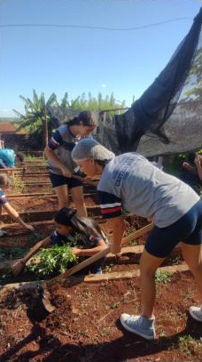 A galeria mostra fotos de estudantes em um canteiro de horta escolar, em um dia ensolarado. Os estudantes usam camisetas do uniforme escolar em tons de cinza com detalhes azul-marinho e vermelho, e alguns deles estão agachados, aparentemente lidando com plantas ou ervas daninhas. Ao fundo, outras pessoas também trabalham na horta, algumas sob uma estrutura de tela preta que fornece sombra parcial. O solo é avermelhado, típico de regiões agrícolas, e há vegetação ao fundo, incluindo bananeiras. O ambiente transmite uma atmosfera de colaboração e aprendizado prático ao ar livre.