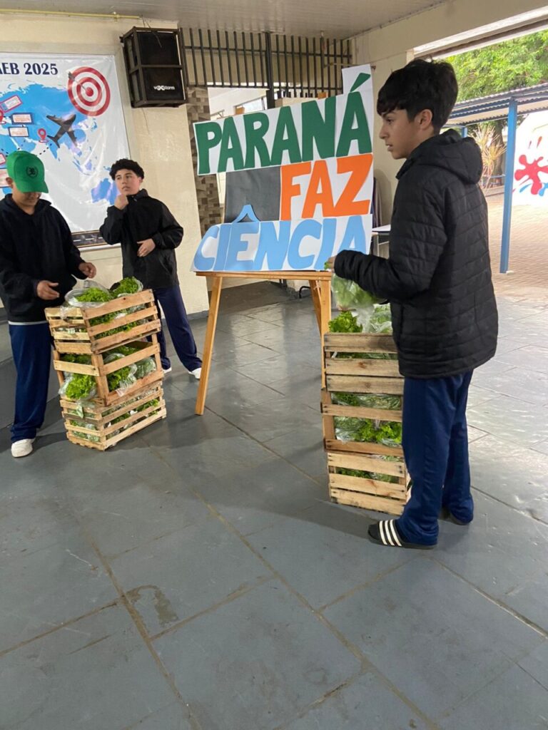 A galeria mostra fotos dos clubistas entregando as alfaces que eles cultivaram aos pais e alunos da escola. Há ambientes internos e externos e as alfaces estão envolvidas em sacolas plásticas para a praticidade no transporte. Alguns adultos são pais dos alunos e seguram pacotes contendo uniformes escolares.