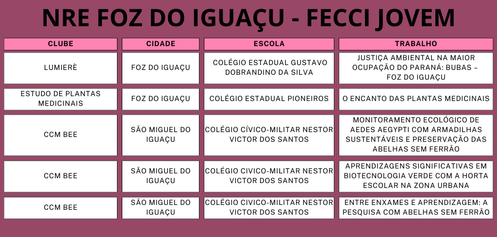 A imagem mostra uma lista com o nome dos clubes, cidade, escola e trabalhos aprovados no evento.