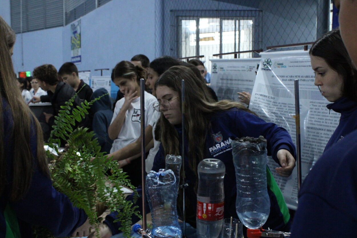 No primeiro plano da foto vemos uma pessoa com uniforme de colégio inclinando seu corpo de forma a pegar um objeto. Na sua frente, plantas e garrafas de irrigação por gotejamento. A cena ocorre em uma feira, por tanto, há banners ao fundo e muitos alunos ao redor.