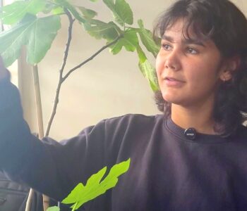 Pesquisar, testar, cuidar. É assim que a ciência acontece dentro do Lattes Clube, em Almirante Tamandaré. 