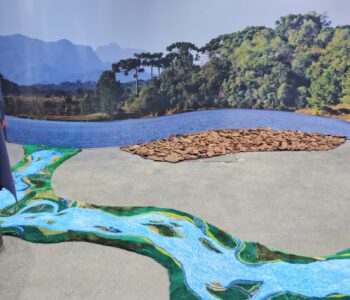 Museu de Ciências Naturais da UFPR é reinaugurado com exposição sobre os ambientes aquáticos