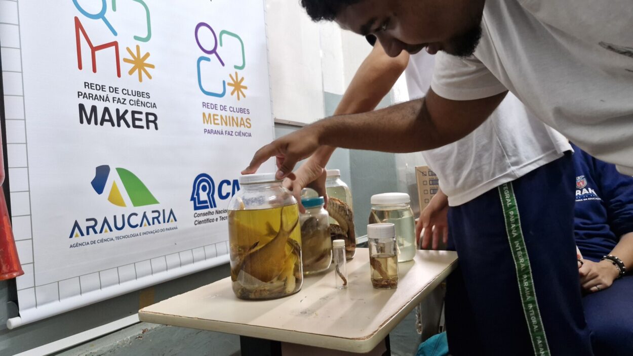 A imagem mostra um estudante observando atentamente frascos de vidro sobre uma mesa pequena. Os frascos contêm animais preservados em líquido transparente — como peixes, cobras e insetos — usados para estudos científicos. Ao fundo há um banner com logotipos de projetos educacionais e de ciência, incluindo “Rede de Clubes Paraná Faz Ciência Maker”, “Meninas Paraná Faz Ciência”, “Fundação Araucária” e “CNPq”.