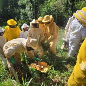 Momento de formação na prática dos alunos com apoio dos apicultores mais experientes (Foto/ApisClub)