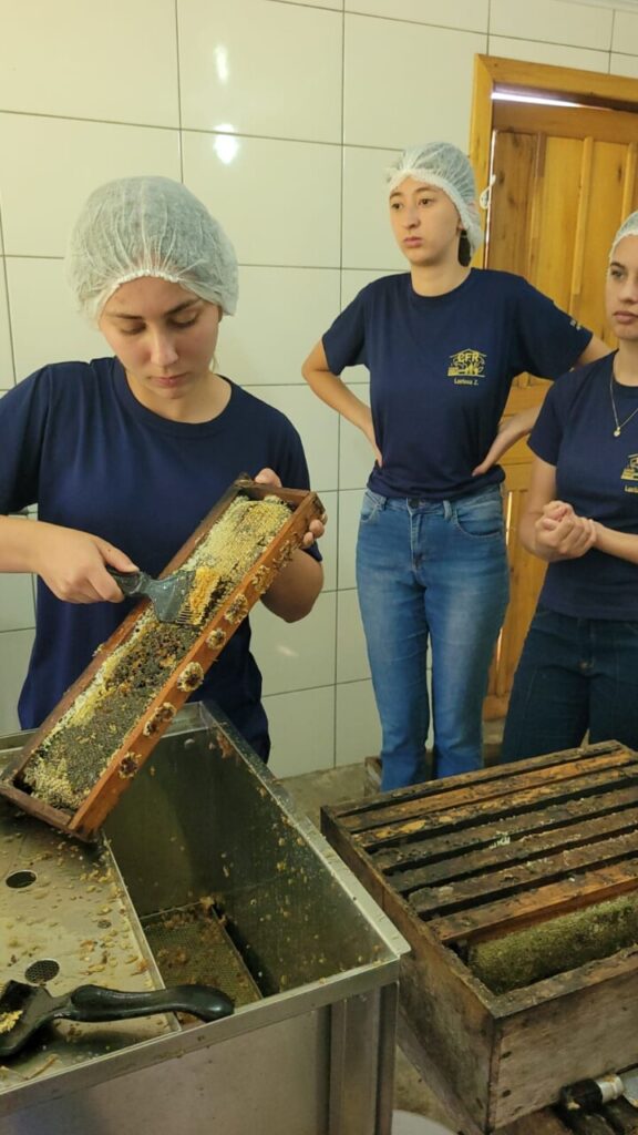 Em um ambiente fechado, três clubistas encontram-se à frente de equipamentos para extração de mel. Enquanto uma pessoa faz a extração de um quadro de mel, outras duas observam atentamente. Todos usam toucas de proteção e uniforme da Casa Familiar Rural.