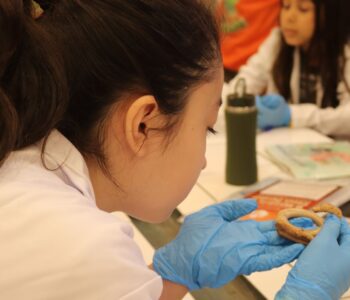 Colônia de Férias 2025-Mudi_capaJPG.jpgLegenda - No Mudi, crianças encontram ambientes e acervos que despertam a curiosidade e o interesse pela ciência (Foto/Acervo Mudi)
