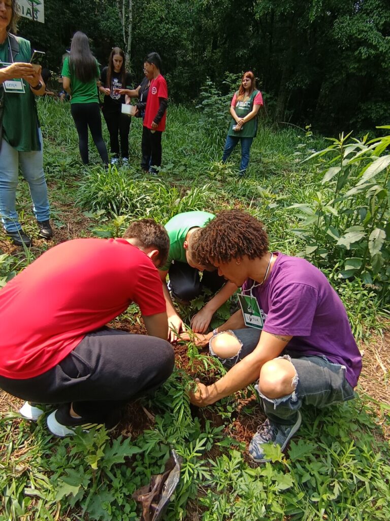 Três clubistas agachados plantam juntos uma muda de árvore em um espaço de mata, ao fundo, árvores preenchem o ambiente, próximos aos três estudantes, outros parecem estar em um diálogo. Uma pessoa da universidade observa e outra tira foto da ação do plantio. O espaço é verde, com plantas por todos os lados, crescendo livremente.