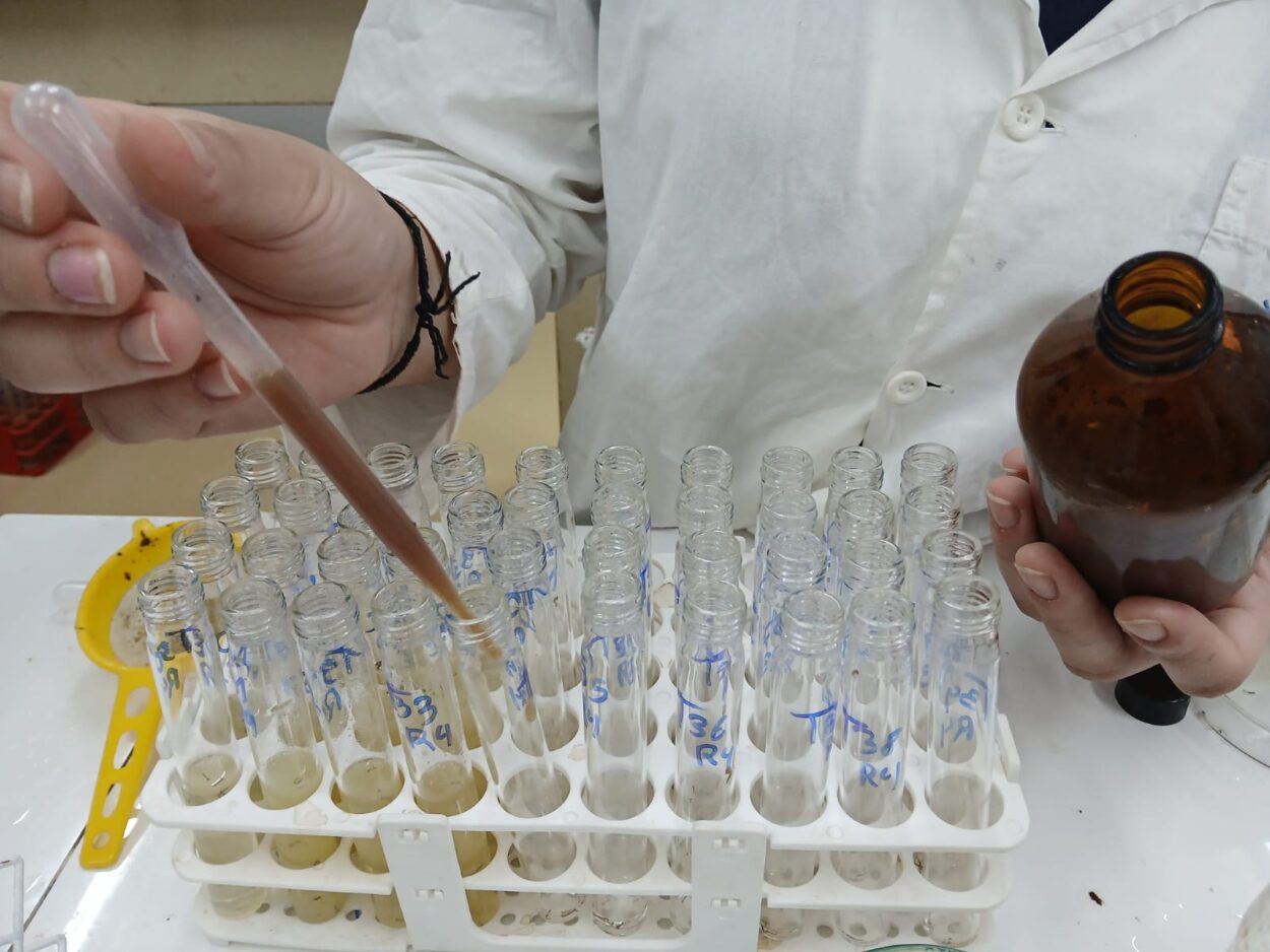 A estudante Izabela Maria Belotto usando o uniforme para representar a escola de jaleco, clubista do Colégio Estadual Jardim Porto Alegre, desenvolveu um sachê à base de extratos vegetais capaz de controlar o desenvolvimento das larvas do mosquito transmissor da dengue, como é visto nos tubos em que ela está manuseando com as mãos. Justifica a proposta da clubista que foi utilizar compostos naturais de plantas como alternativa mais sustentável no controle do vetor.