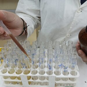 As etudante Izabela Belotto trabalha com um sachê sustentável que combate as larvas do mosquito da Dengue (Foto/Arquivo pessoal)