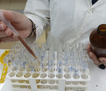As etudante Izabela Belotto trabalha com um sachê sustentável que combate as larvas do mosquito da Dengue (Foto/Arquivo pessoal)