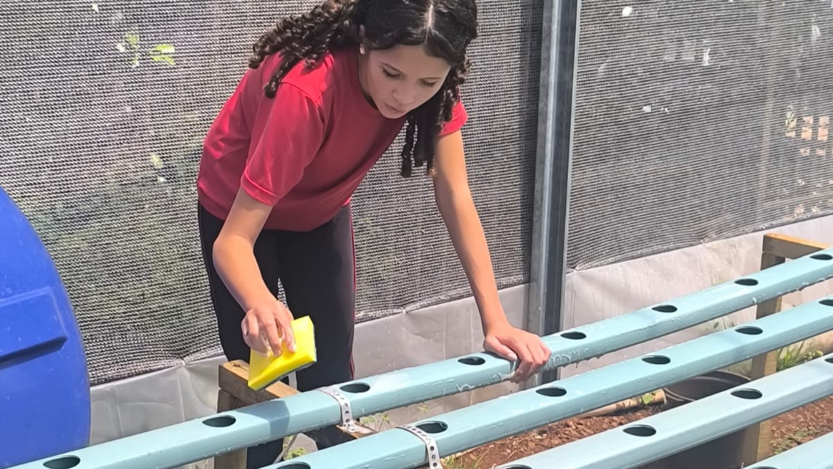 A foto mostra uma clubista do Raízes D’Água em um espaço de cultivo fechado com uma tela de sombreamento para plantas ao fundo. A clubista está limpando com uma esponja uma estrutura de hidroponia, formada por tubos, ela veste camiseta vermelha e calça escura, e tem cabelos longos e presos.