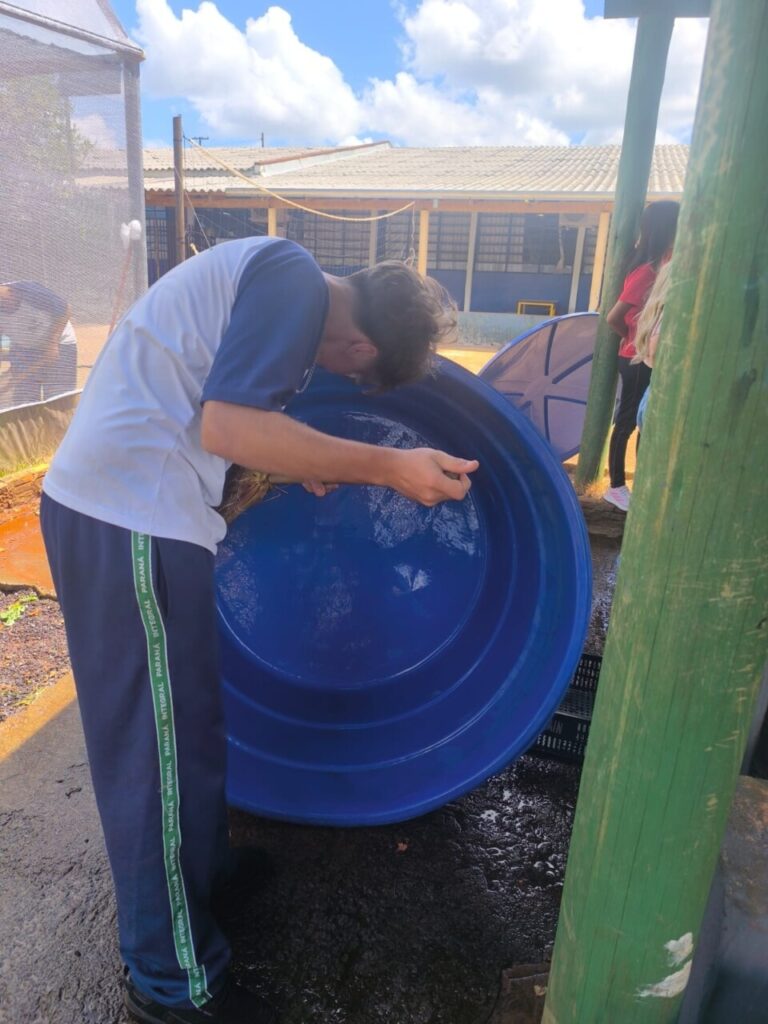 Na série de fotos é possível observar os estudantes uniformizados trabalhando nos diversos espaços de sua horta, como na limpeza das caixas d’água com esfregão e retirada de plantas daninhas do solo.