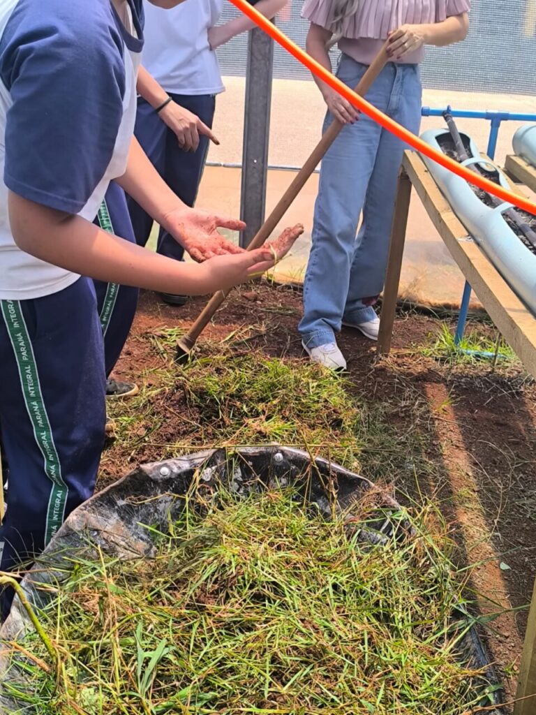 Na série de fotos é possível observar os estudantes uniformizados trabalhando nos diversos espaços de sua horta, como na limpeza das caixas d’água com esfregão e retirada de plantas daninhas do solo.