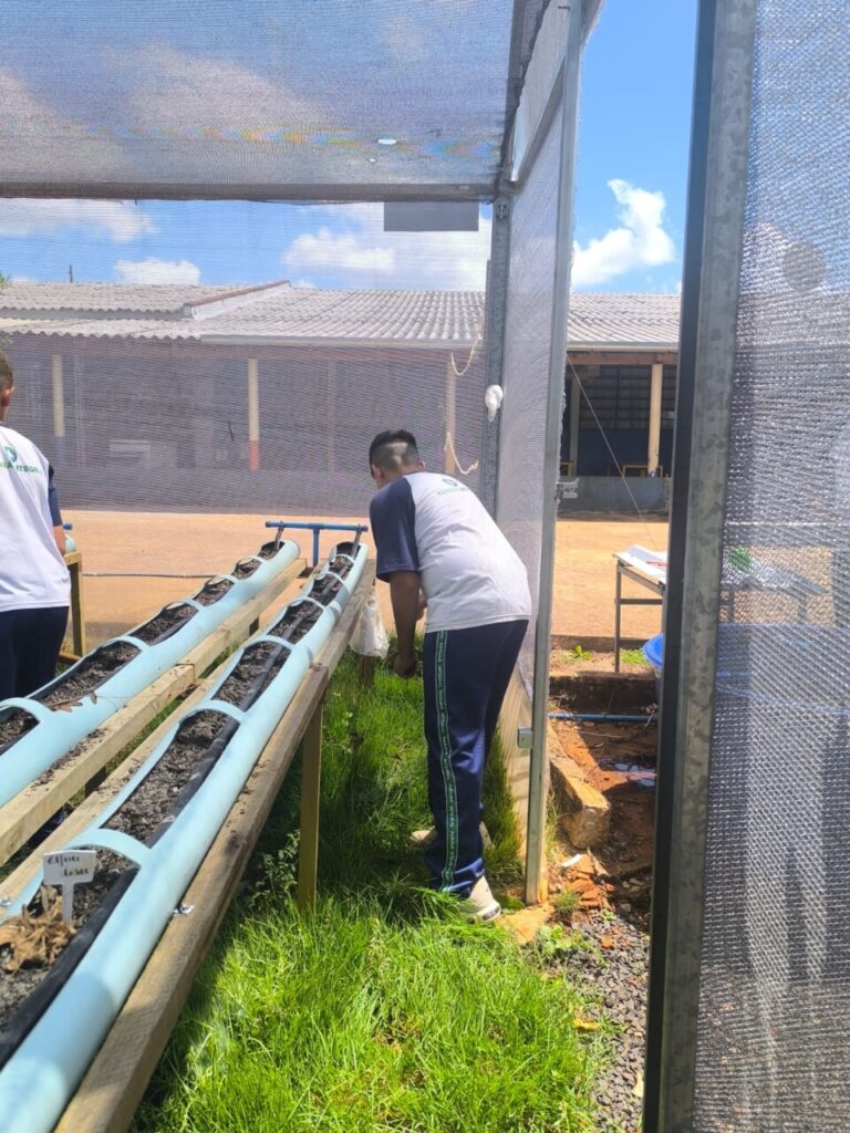 Na série de fotos é possível observar os estudantes uniformizados trabalhando nos diversos espaços de sua horta, como na limpeza das caixas d’água com esfregão e retirada de plantas daninhas do solo.