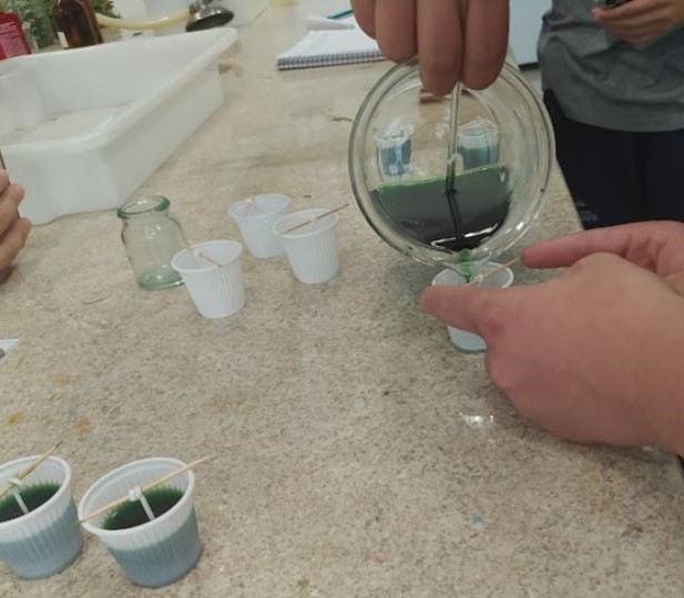 A imagem mostra o close das mãos de um estudante despejando um líquido verde-escuro de um recipiente de vidro em pequenos copos brancos. Os copos possuem pavios sustentados por palitos de madeira. A cena ocorre sobre uma bancada de laboratório clara, mostrando o processo de fabricação das velas repelentes.