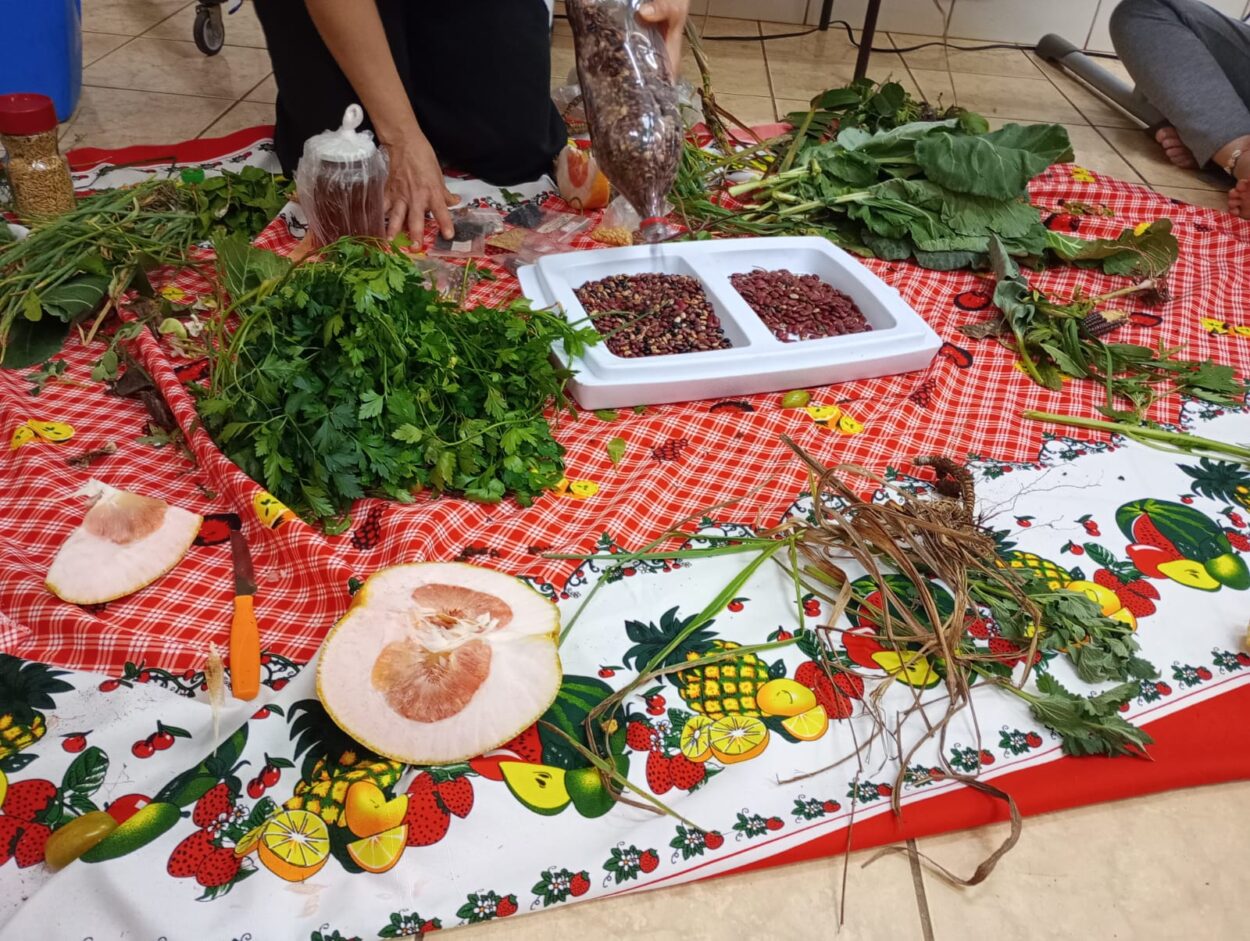 A galeria de fotos mostra registros das atividades do Clube de Ciências CCT (Conhecimento Científico Tradicional) — desde o seu primeiro encontro e a apresentação das plantas, passando pela horta escolar cultivada pelos alunos, até a apresentação do projeto do clube em uma feira de ciências