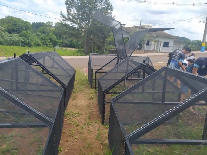 A galeria de fotos mostra registros das atividades do Clube de Ciências CCT (Conhecimento Científico Tradicional) — desde o seu primeiro encontro e a apresentação das plantas, passando pela horta escolar cultivada pelos alunos, até a apresentação do projeto do clube em uma feira de ciências