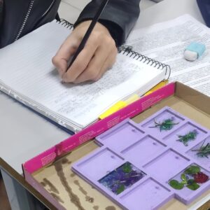 Esta imagem mostra uma atividade de estudo ou análise científica em uma mesa. Uma pessoa está escrevendo em um caderno com um lápis. O caderno tem muitas anotações e textos, provavelmente de uma atividade prática. Sobre a mesa há: Outro caderno aberto, Uma borracha, Post-its coloridos. Em frente ao caderno há uma caixa com divisões, contendo: pequenos fragmentos de plantas, folhas verdes, musgos ou material vegetal. A caixa tem compartimentos, indicando que os materiais estão organizados para observação ou classificação.