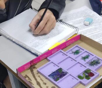 Esta imagem mostra uma atividade de estudo ou análise científica em uma mesa. Uma pessoa está escrevendo em um caderno com um lápis. O caderno tem muitas anotações e textos, provavelmente de uma atividade prática. Sobre a mesa há: Outro caderno aberto, Uma borracha, Post-its coloridos. Em frente ao caderno há uma caixa com divisões, contendo: pequenos fragmentos de plantas, folhas verdes, musgos ou material vegetal. A caixa tem compartimentos, indicando que os materiais estão organizados para observação ou classificação.