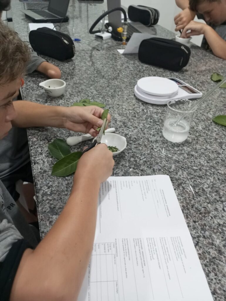 A imagem mostra os clubistas utilizando o novo laboratório de ciências. Eles estão sentados ao redor das bancadas, escrevendo, observando materiais e conversando durante uma atividade. 5. A foto mostra os clubistas realizando uma atividade prática no laboratório. Sobre a bancada estão folhas verdes, recipientes de porcelana, um pilão com pistilo, um béquer com líquido e uma balança digital. Em primeiro plano, uma folha é cortada com uma tesoura e colocada em um recipiente, enquanto outras pessoas ao fundo também manipulam folhas seguindo um roteiro impresso da atividade. 6. A foto mostra um aluno utilizando um microscópio em um laboratório, observando uma lâmina com atenção. O equipamento está sobre uma bancada de pedra, e ao fundo aparecem armários com vidrarias e materiais de laboratório. 7. A foto mostra a professora Rosana ao lado de um microscópio sobre a bancada. Ao fundo aparecem armários com vidrarias e outros materiais científicos, compondo o ambiente de trabalho.
