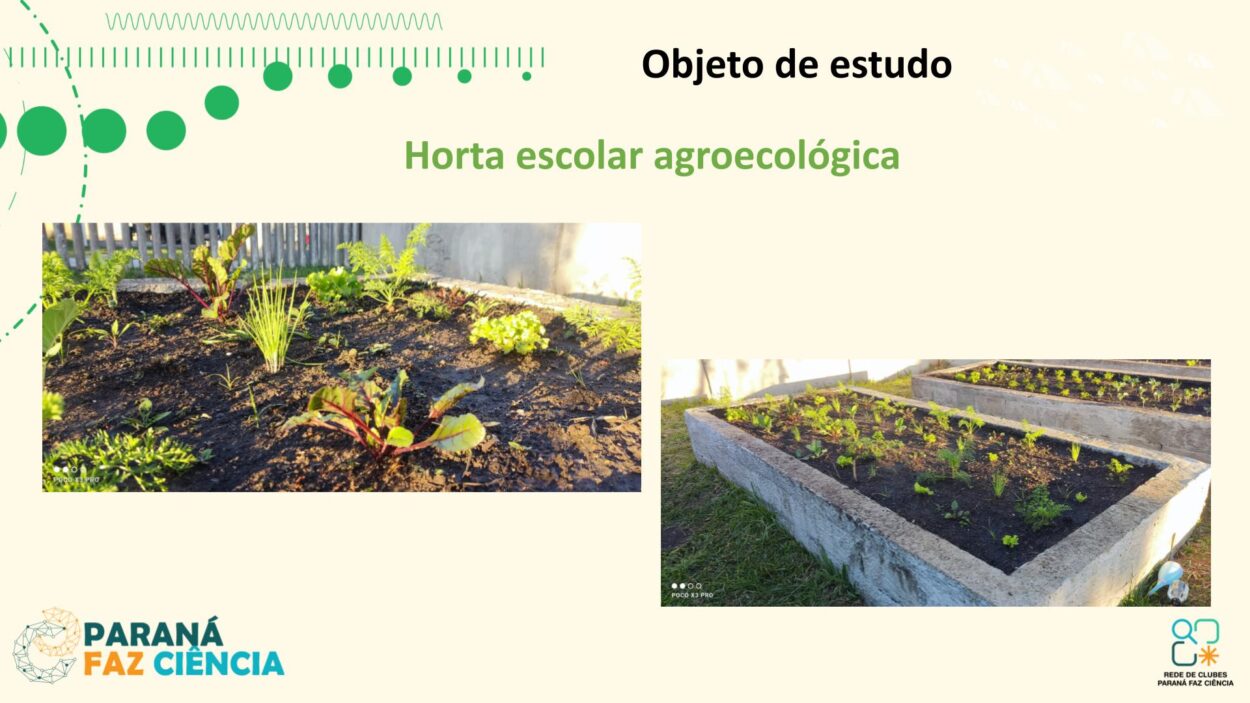 As imagens mostram os integrantes do clube Liga Científica durante sua apresentação. No palco, estudantes e a professora compartilham o projeto com o público, apoiados por um painel de slides. Três fotos da galeria destacam os resultados da pesquisa diretamente da tela de apresentação.