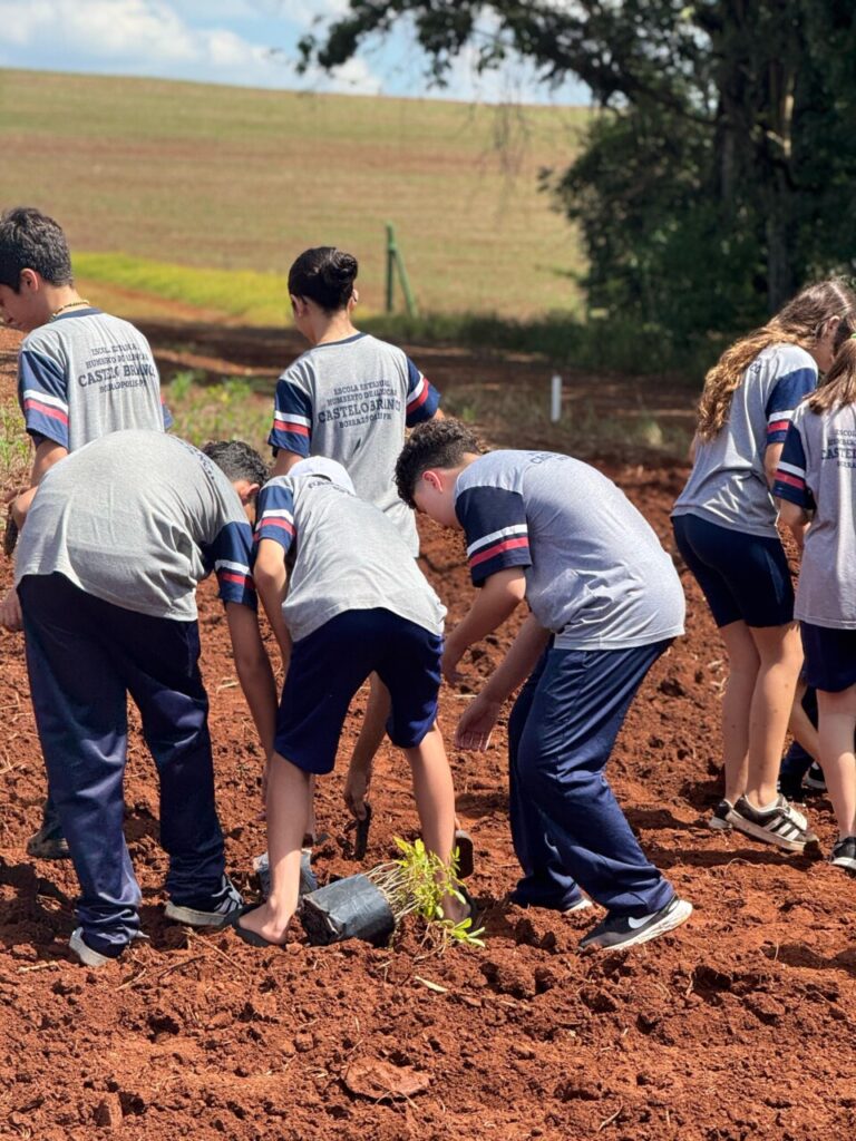 A galeria registra ações de combate às mudanças climáticas realizadas pelos alunos da Escola Estadual Humberto de Alencar Castelo Branco. As imagens mostram o plantio de mudas nativas na Estação Ecológica Laranja Doce e na mata ciliar do Rio Ivaí, além da proteção de uma nascente próxima ao Lago Municipal de Borrazópolis.