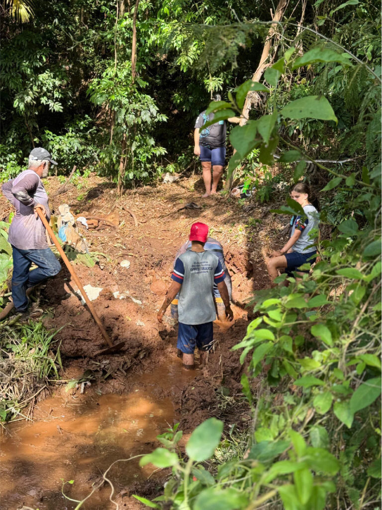 A galeria registra ações de combate às mudanças climáticas realizadas pelos alunos da Escola Estadual Humberto de Alencar Castelo Branco. As imagens mostram o plantio de mudas nativas na Estação Ecológica Laranja Doce e na mata ciliar do Rio Ivaí, além da proteção de uma nascente próxima ao Lago Municipal de Borrazópolis.