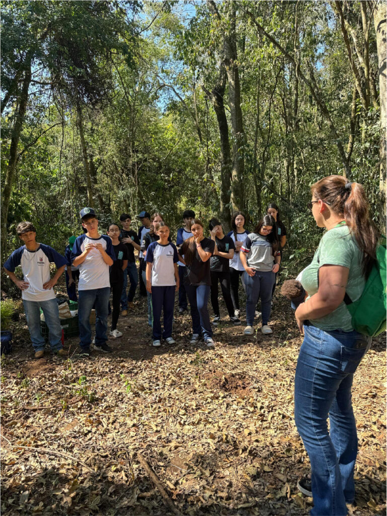 A galeria registra ações de combate às mudanças climáticas realizadas pelos alunos da Escola Estadual Humberto de Alencar Castelo Branco. As imagens mostram o plantio de mudas nativas na Estação Ecológica Laranja Doce e na mata ciliar do Rio Ivaí, além da proteção de uma nascente próxima ao Lago Municipal de Borrazópolis.