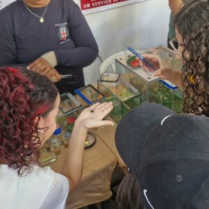 Clubistas interagindo com insetos na Fazendinha - Via Rural (Foto/Isabella Abrão)