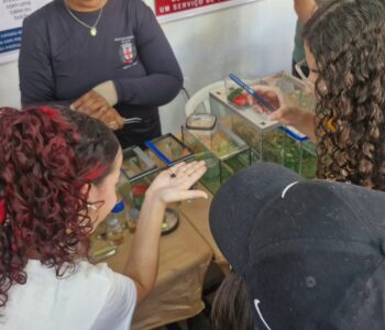 Clubistas interagindo com insetos na Fazendinha - Via Rural (Foto/Isabella Abrão)