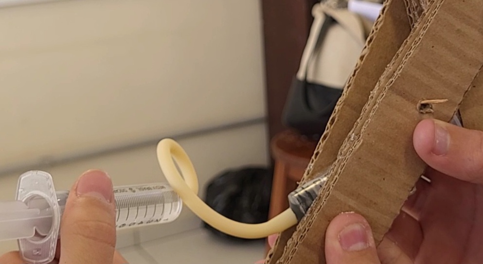 Em close, mãos seguram uma seringa conectada a uma mangueira transparente encaixada em uma estrutura de papelão. Ao fundo, aparecem parte de uma mesa e objetos desfocados de uma sala.