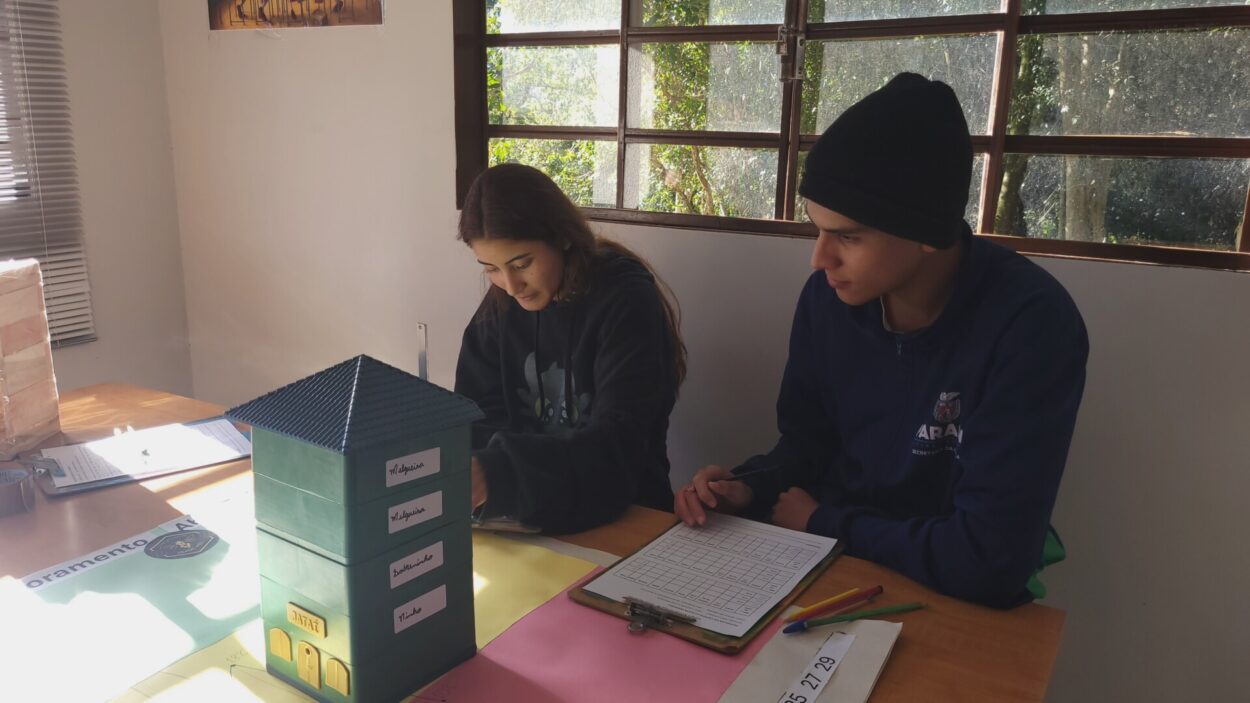 Em uma sala de aula iluminada por janelas, dois estudantes estão sentados ao lado de uma mesa durante uma atividade de pesquisa. Sobre a mesa há uma estrutura verde utilizada na observação de abelhas Jataí, além de folhas, pranchetas, lápis, estojo e outros materiais escolares. Um dos estudantes segura uma folha enquanto observa os materiais. Ao fundo, há paredes claras, cadeiras, mesas e janelas com vista para árvores.